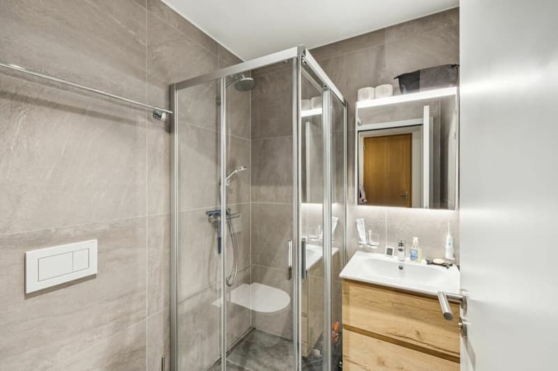 Magnifique appartement à Echallens (6)