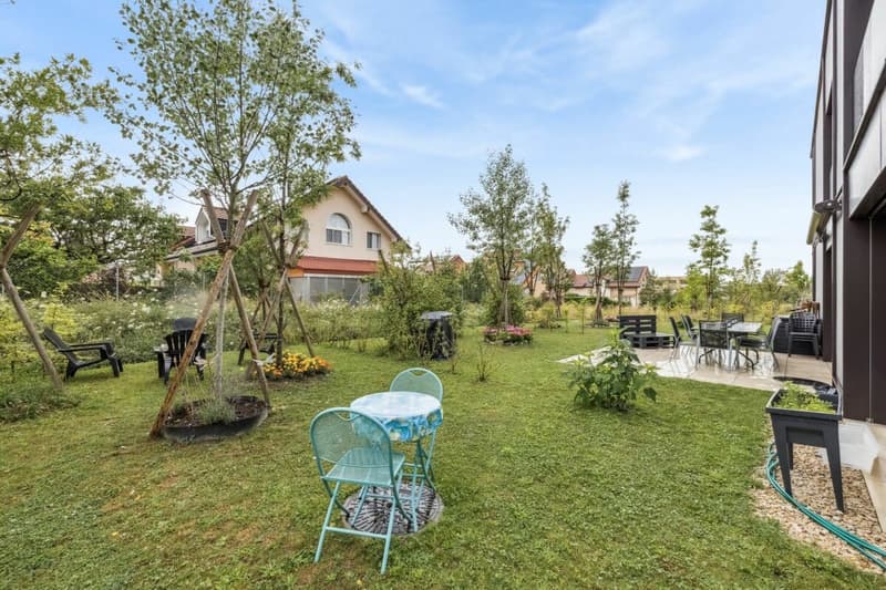 Magnifique appartement à Echallens (2)