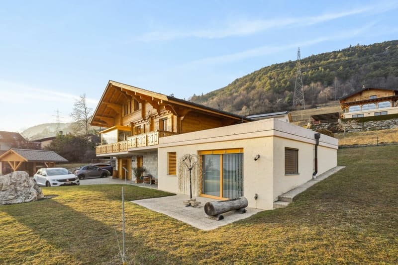Charming family chalet with professional potential in Erde (10)