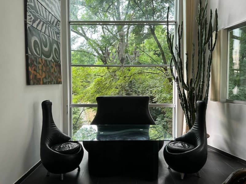 Sublime appartement au centre ville de Lausanne (3)