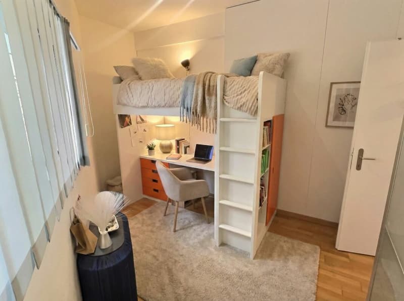 Sublime appartement au centre ville de Lausanne (9)