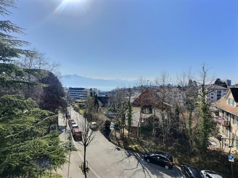Bright 4.5 rooms in Chaily with a very beautiful lake view (1)