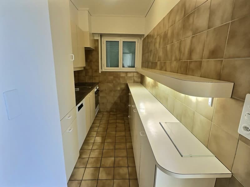Bright 4.5 rooms in Chaily with a very beautiful lake view (2)