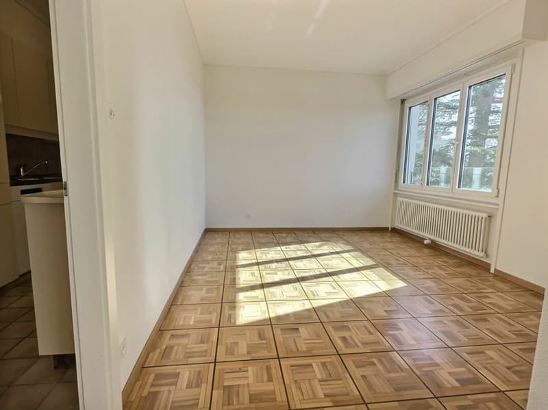 Bright 4.5 rooms in Chaily with a very beautiful lake view (3)
