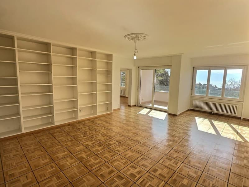 Bright 4.5 rooms in Chaily with a very beautiful lake view (5)