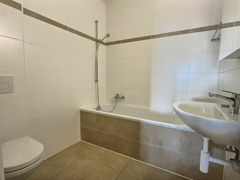 Bright 4.5 rooms in Chaily with a very beautiful lake view (4)