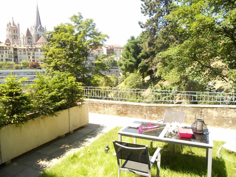 Superbe loft au centre de Lausanne (2)