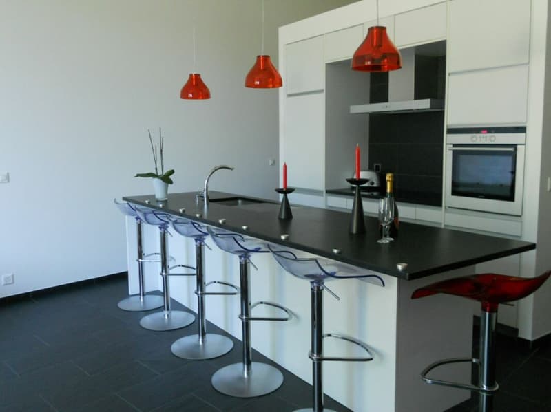 Superbe loft au centre de Lausanne (4)