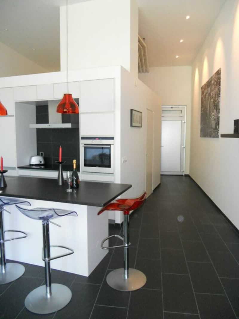 Superbe loft au centre de Lausanne (7)