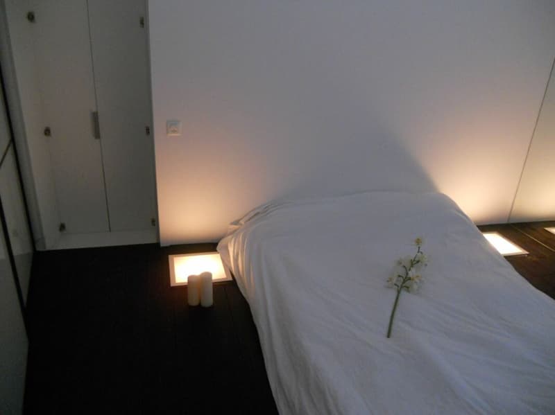 Superbe loft au centre de Lausanne (8)