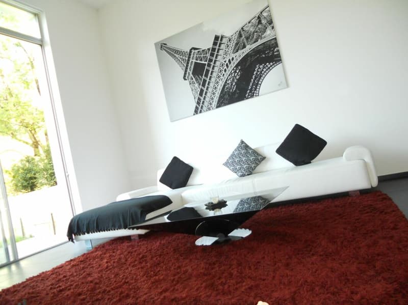 Superbe loft au centre de Lausanne (10)