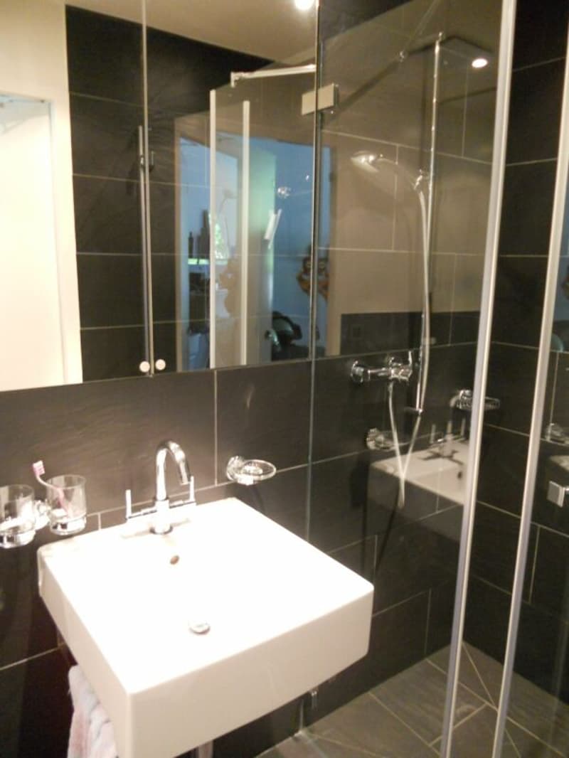 Superbe loft au centre de Lausanne (5)