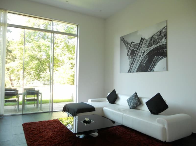 Superbe loft au centre de Lausanne (6)