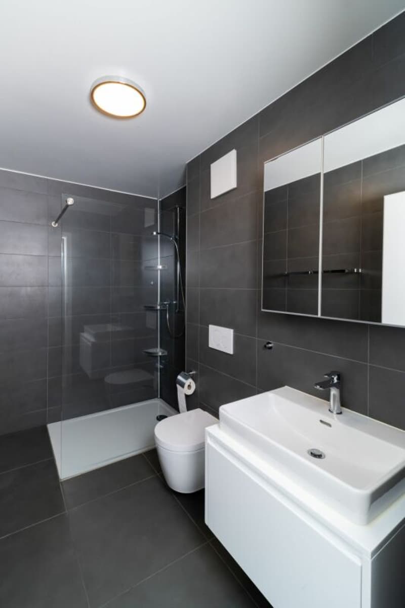 Bright 4.5-room apartment in Bottens (3)