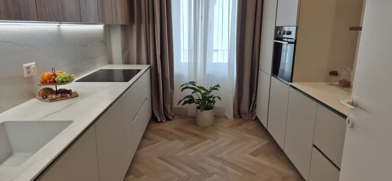 3.5 locali appartmento in affitto centro Lugano (26)