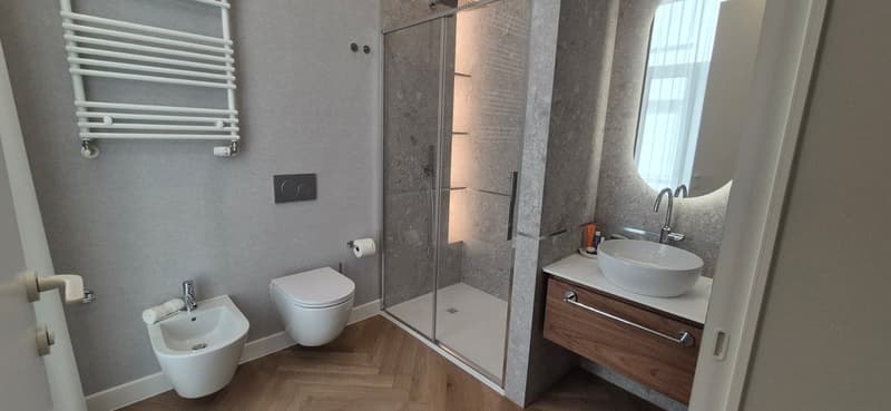 3.5 locali appartmento in affitto centro Lugano (33)