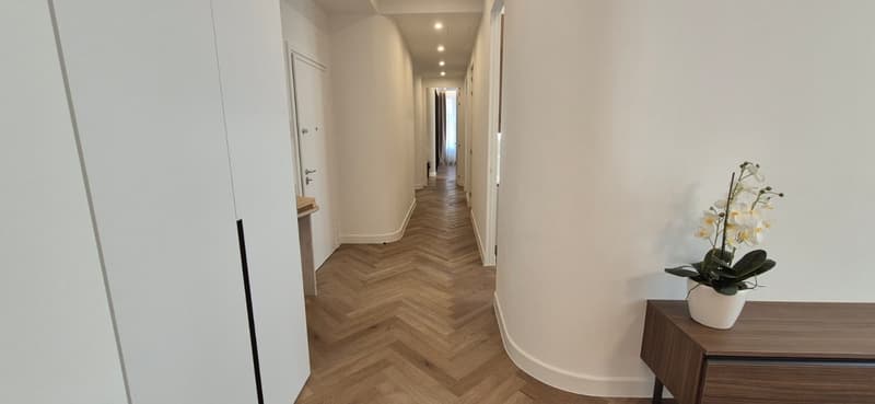3.5 locali appartmento in affitto centro Lugano (17)