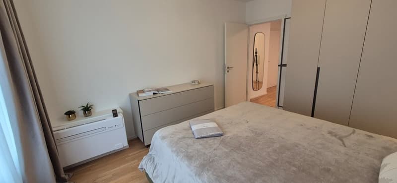 3,5-Zimmer-Wohnung zur Miete im Zentrum von Lugano (19)