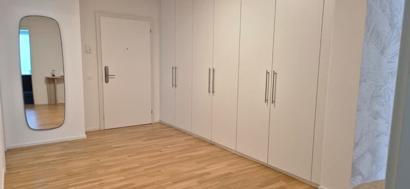 3,5-Zimmer-Wohnung zur Miete im Zentrum von Lugano (21)