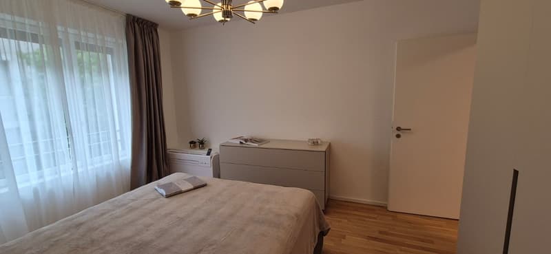 3,5-Zimmer-Wohnung zur Miete im Zentrum von Lugano (18)