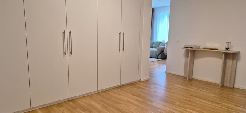 3,5-Zimmer-Wohnung zur Miete im Zentrum von Lugano (22)