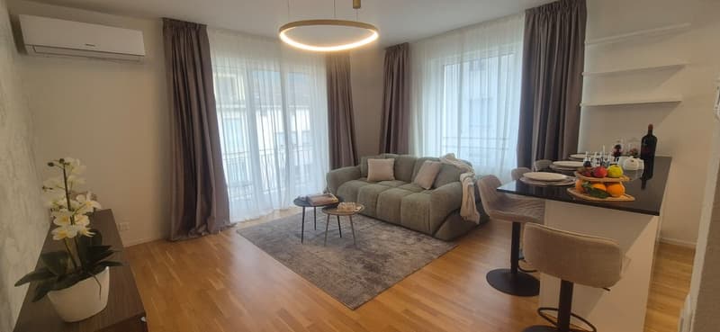 3,5-Zimmer-Wohnung zur Miete im Zentrum von Lugano (3)