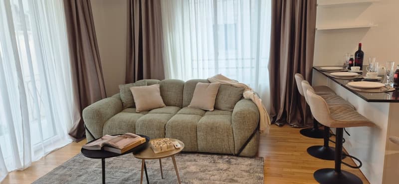 3,5-Zimmer-Wohnung zur Miete im Zentrum von Lugano (2)