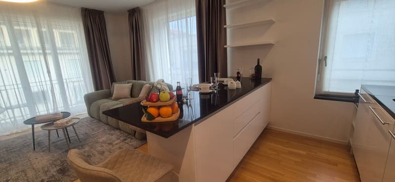 3,5-Zimmer-Wohnung zur Miete im Zentrum von Lugano (6)