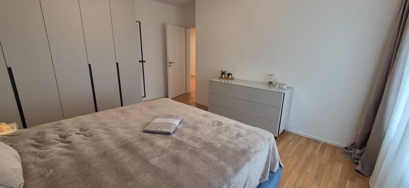 3,5-Zimmer-Wohnung zur Miete im Zentrum von Lugano (14)