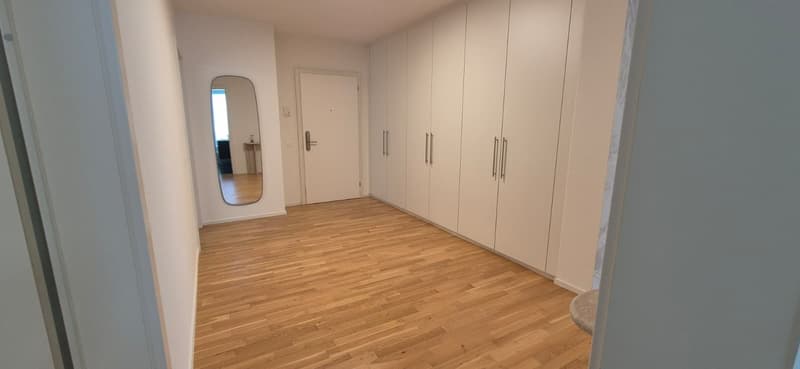 3,5-Zimmer-Wohnung zur Miete im Zentrum von Lugano (20)