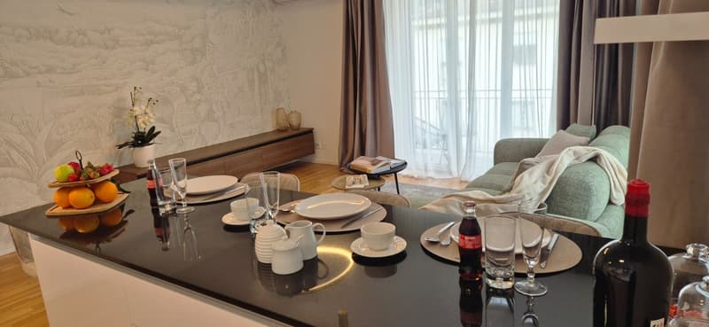 3,5-Zimmer-Wohnung zur Miete im Zentrum von Lugano (7)