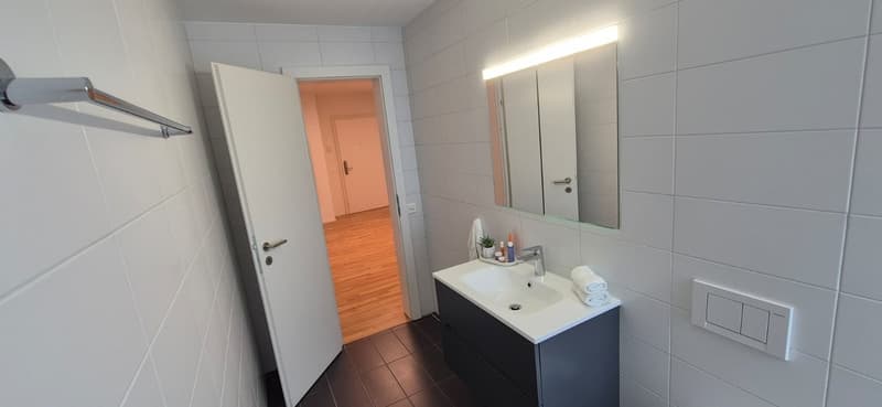 3,5-Zimmer-Wohnung zur Miete im Zentrum von Lugano (24)