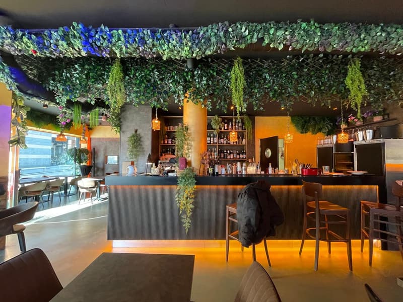 A bar counter with a jacket hanging on a chair, a bar stool, a table, and a shelf with bottles. The ceiling has hanging plants and lights. There are chairs and tables in the area, and a glass window with a view of the outside.
