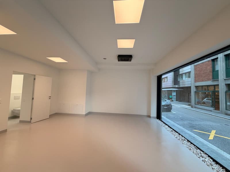 Spazio commerciale / ufficio in Centro Lugano (1)