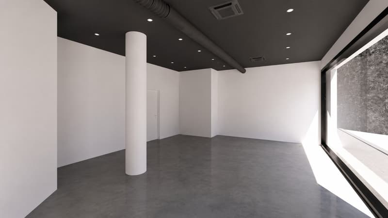 Spazio commerciale / ufficio in Centro Lugano (6)