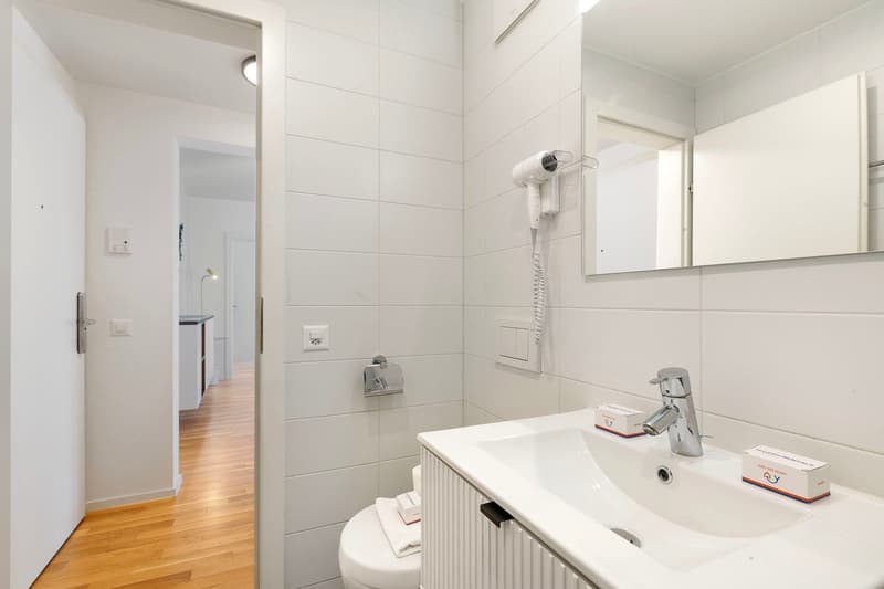 Zweieinhalb-Zimmer-Wohnung in der Innenstadt von Lugano zur Miete (14)