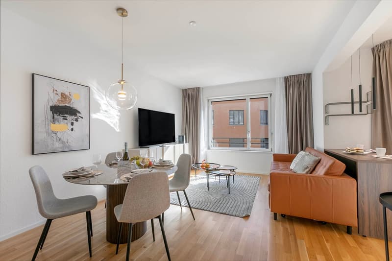 Zweieinhalb-Zimmer-Wohnung in der Innenstadt von Lugano zur Miete (1)