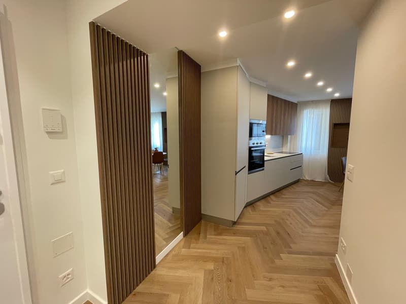 Appartement zur Miete 1.5 Zimmer möbliert im Zentrum von Lugano (7)