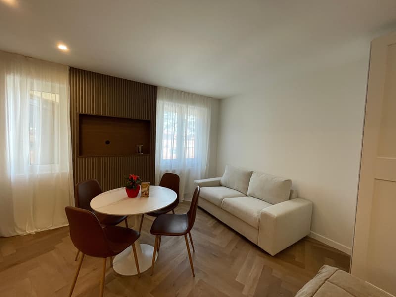 Appartement zur Miete 1.5 Zimmer möbliert im Zentrum von Lugano (2)