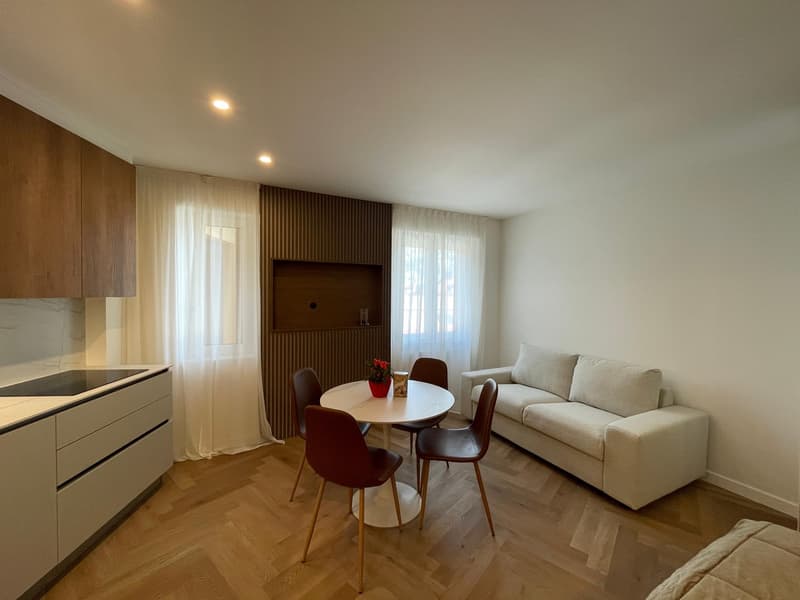 Appartement zur Miete 1.5 Zimmer möbliert im Zentrum von Lugano (1)