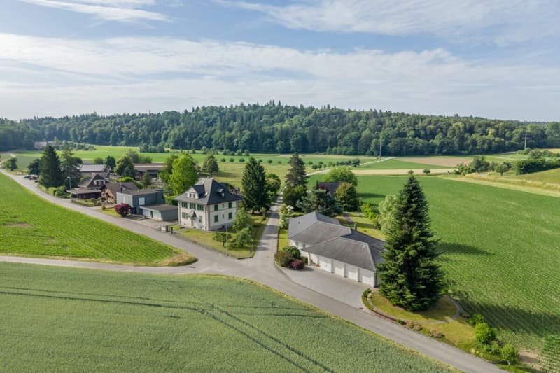 Besondere Immobilie mit grossem Entwicklungspotenzial (3)