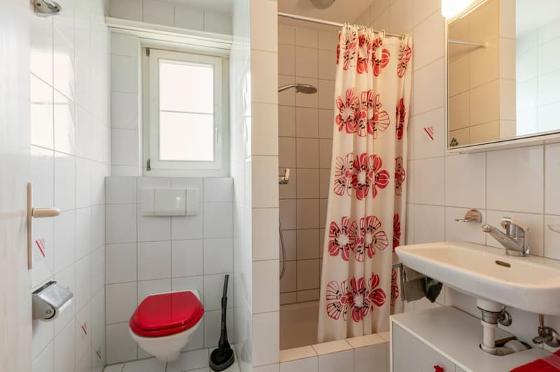 Grosszügiges und gepflegtes Familien-Haus zum Auffrischen (6)