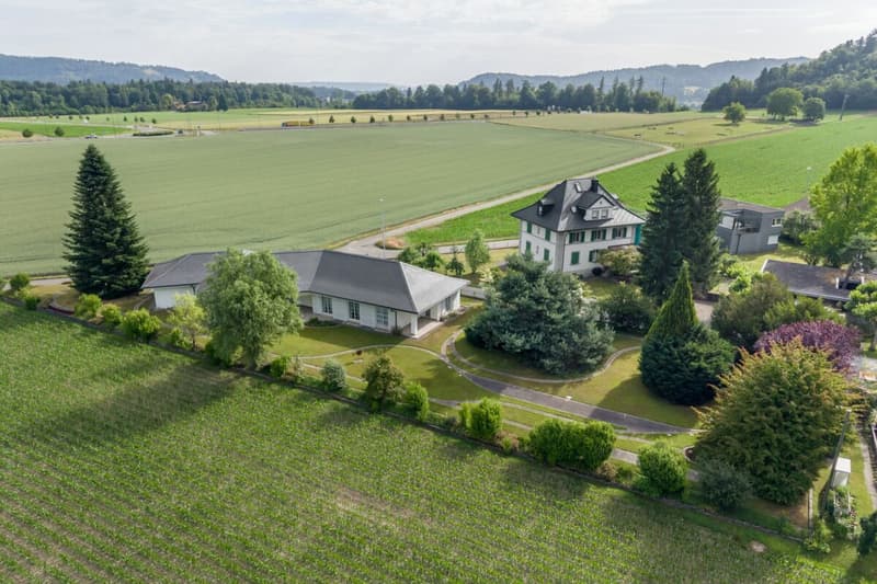 Repräsentatives Anwesen mit Potenzial und 900 m² Bauland-Reserve (1)