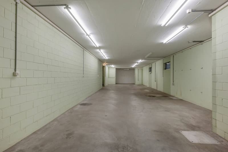 Repräsentatives Anwesen mit Potenzial und 900 m² Bauland-Reserve (10)
