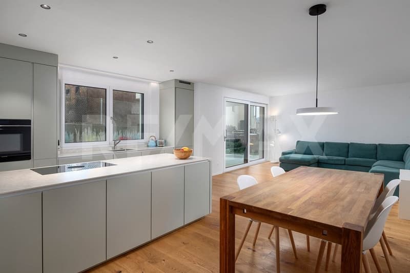 Maison mitoyenne moderne de 5,5 pièces avec jardin d'hiver (3)