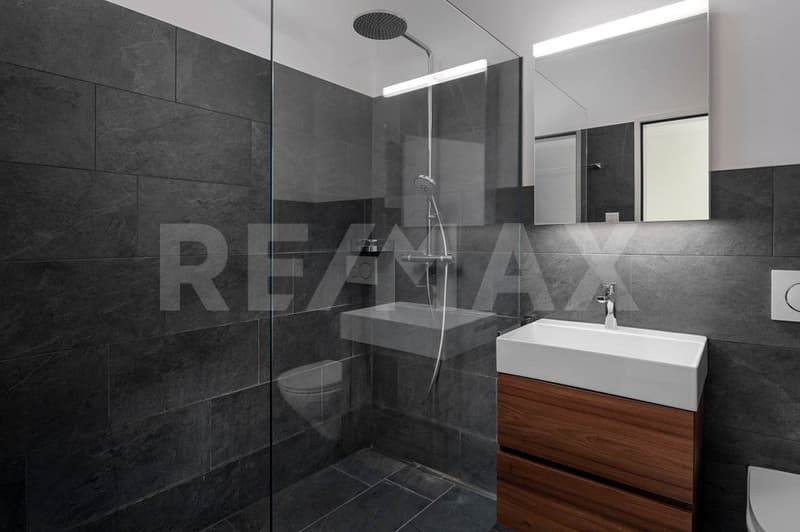 Modern Dream House for Rent in Birr! (12)
