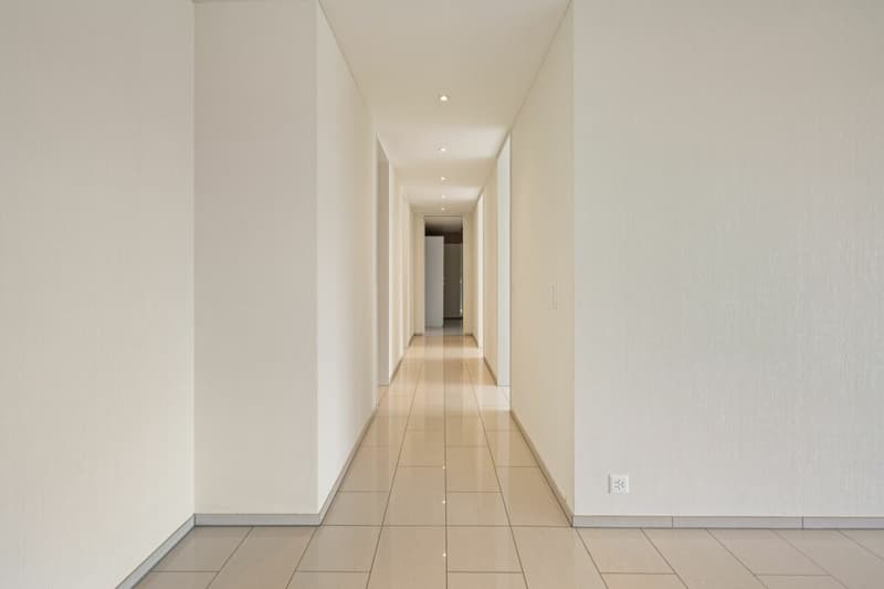 Appartement de terrasse exclusif 4.5 pièces avec belle vue (11)