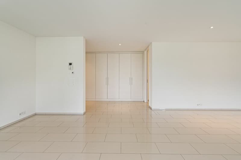 Appartement de terrasse exclusif 4.5 pièces avec belle vue (5)