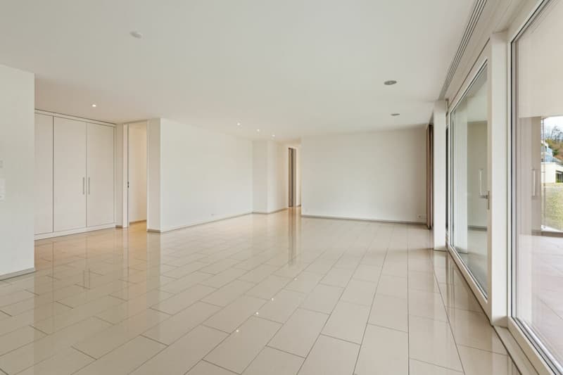 Appartement de terrasse exclusif 4.5 pièces avec belle vue (4)