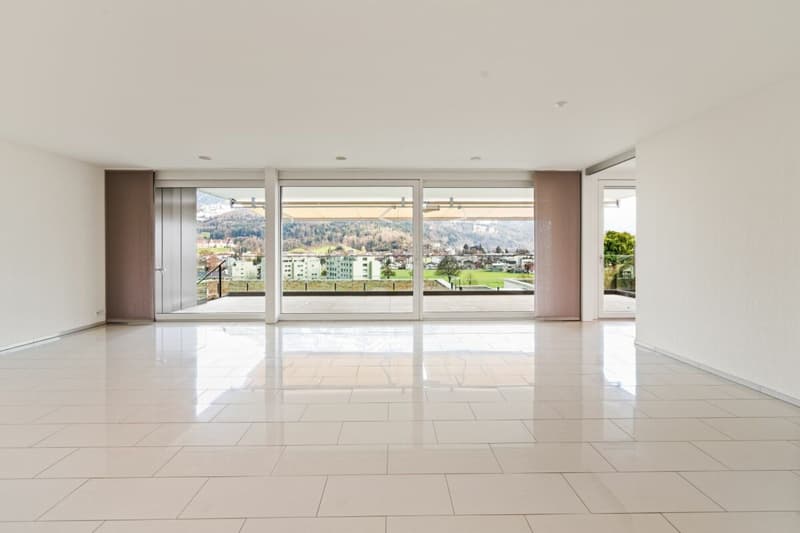 Appartement de terrasse exclusif 4.5 pièces avec belle vue (2)